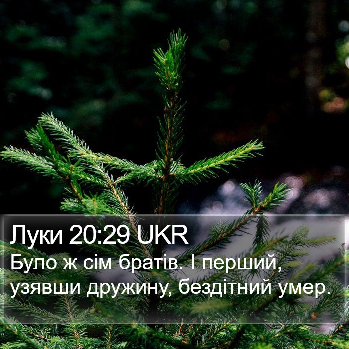Луки 20:29 UKR Bible Study