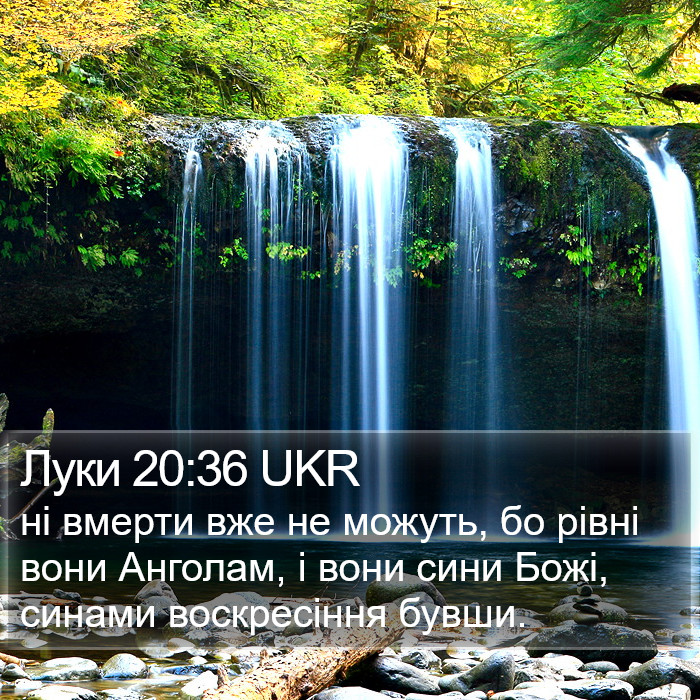 Луки 20:36 UKR Bible Study