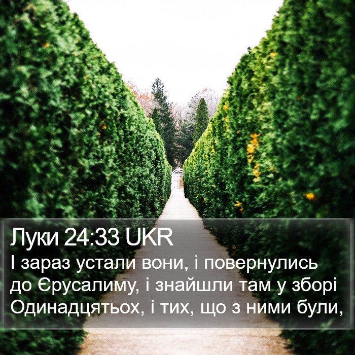 Луки 24:33 UKR Bible Study