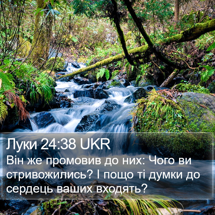 Луки 24:38 UKR Bible Study