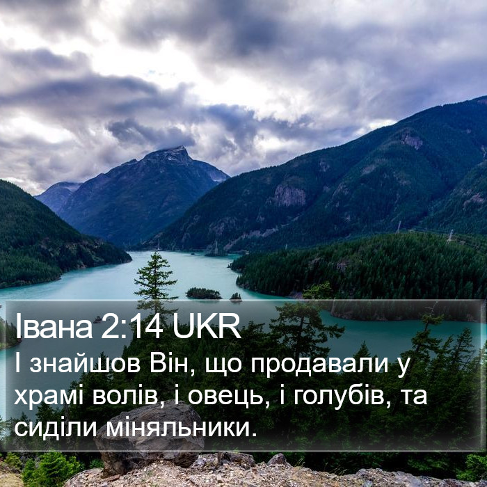 Івана 2:14 UKR Bible Study