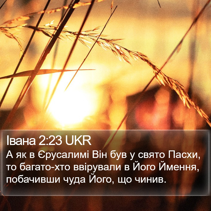 Івана 2:23 UKR Bible Study