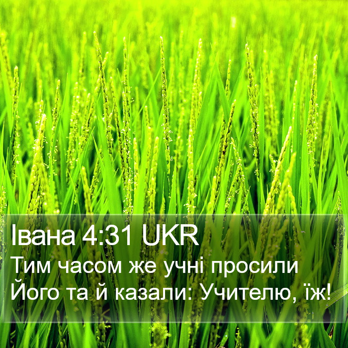 Івана 4:31 UKR Bible Study