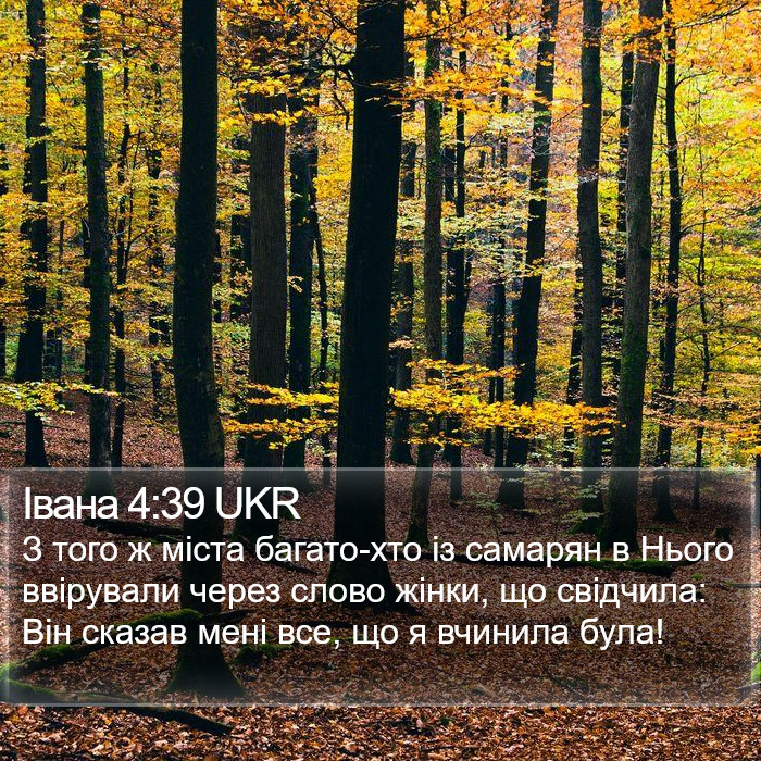 Івана 4:39 UKR Bible Study