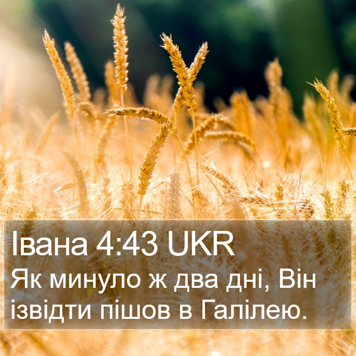 Івана 4:43 UKR Bible Study