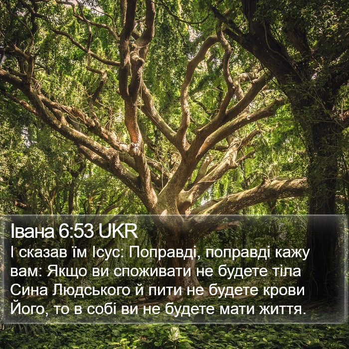 Івана 6:53 UKR Bible Study