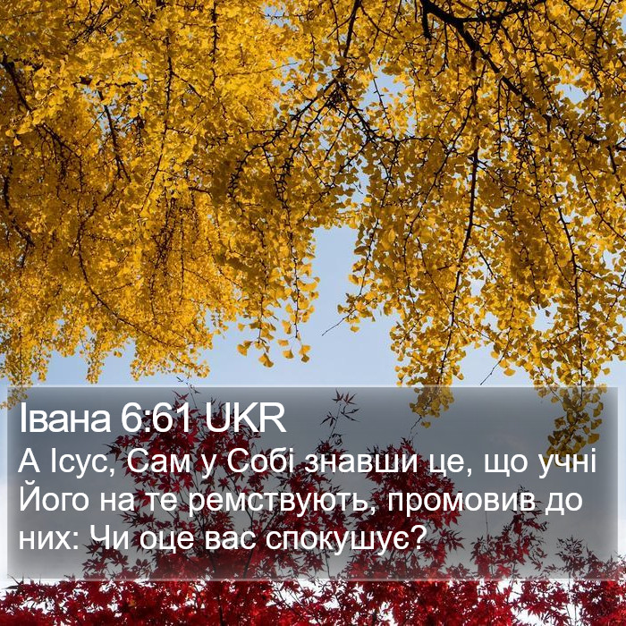 Івана 6:61 UKR Bible Study