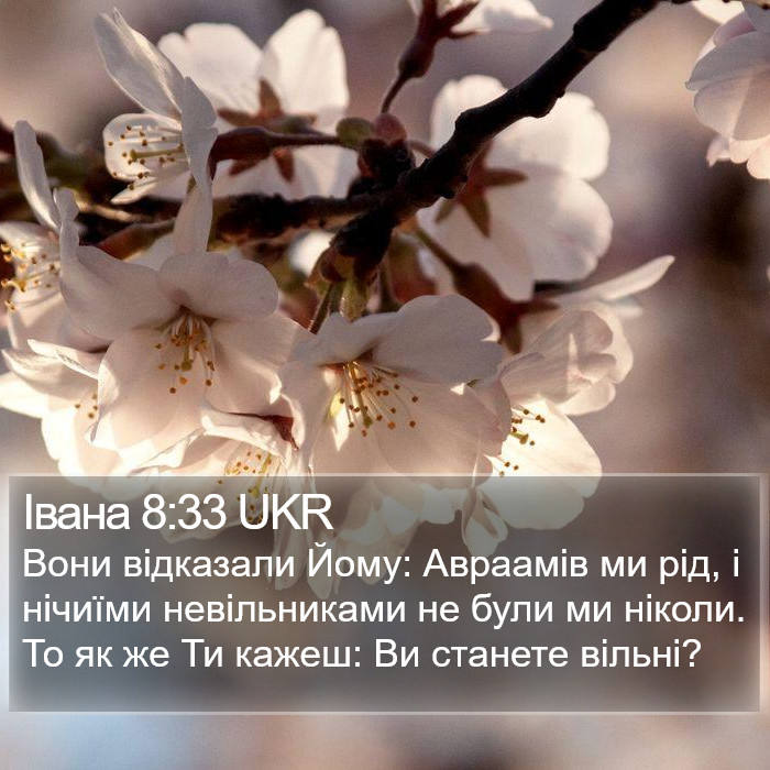 Івана 8:33 UKR Bible Study