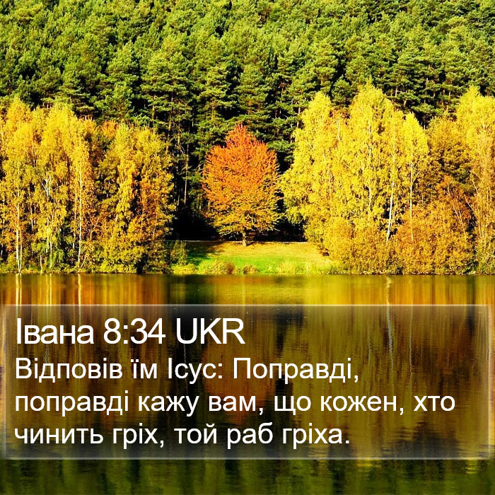 Івана 8:34 UKR Bible Study