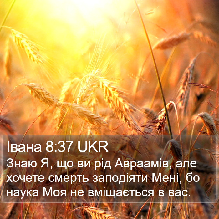 Івана 8:37 UKR Bible Study