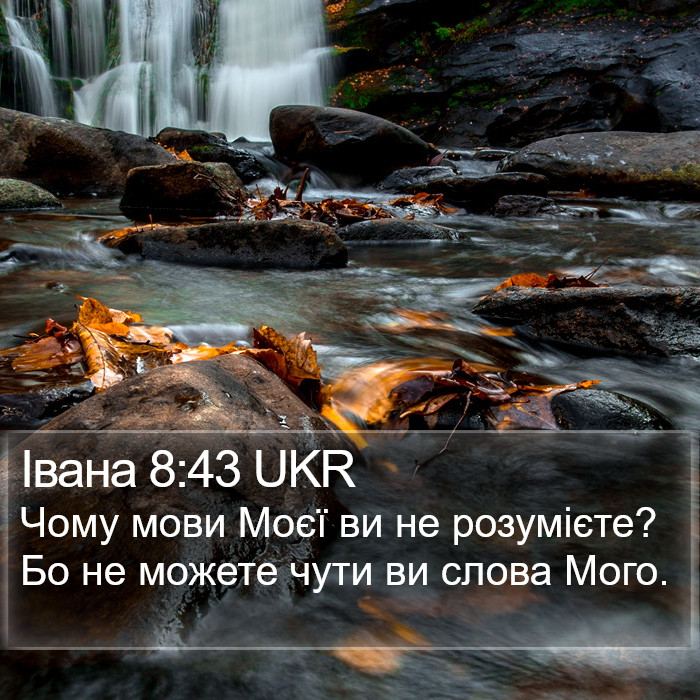 Івана 8:43 UKR Bible Study
