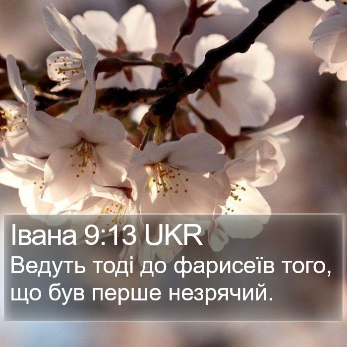 Івана 9:13 UKR Bible Study