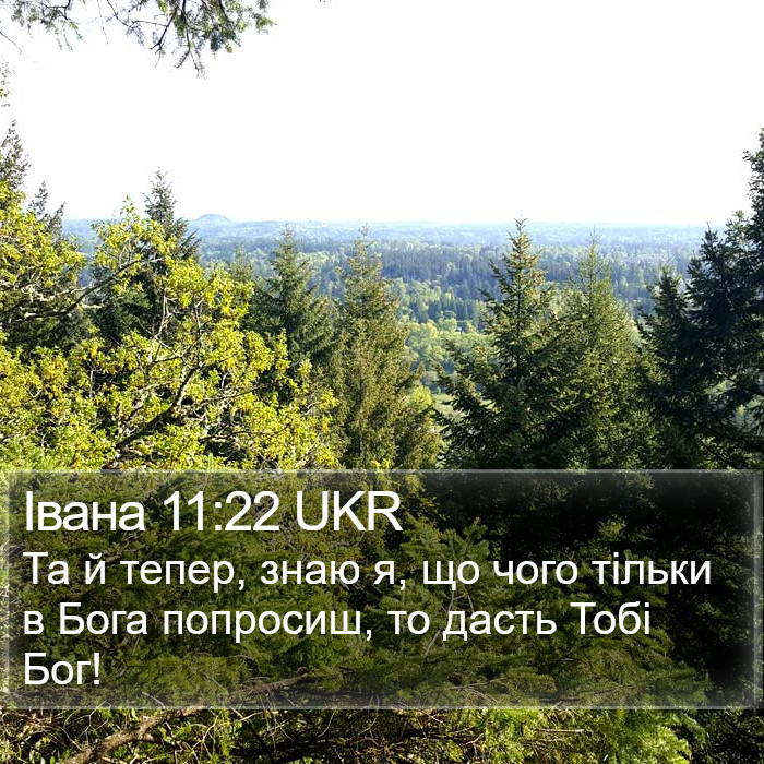 Івана 11:22 UKR Bible Study