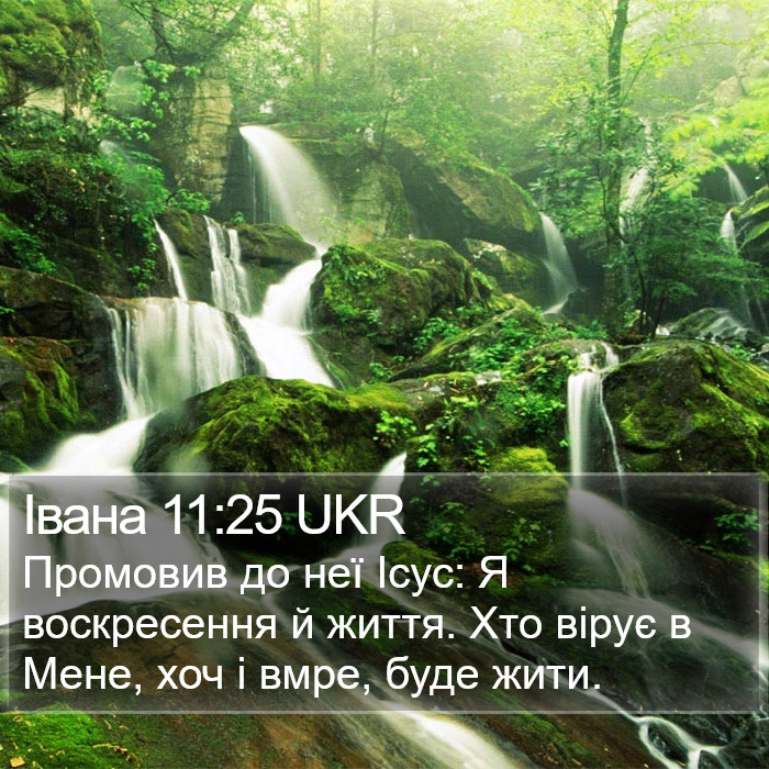 Івана 11:25 UKR Bible Study