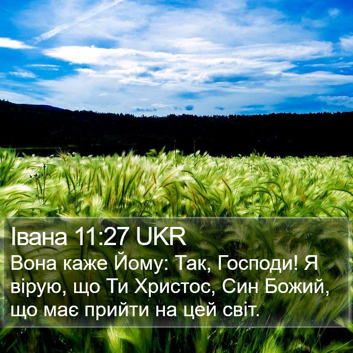 Івана 11:27 UKR Bible Study