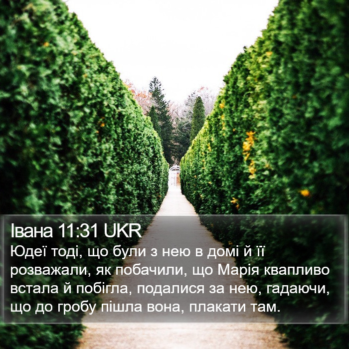 Івана 11:31 UKR Bible Study