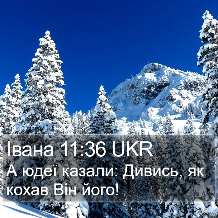 Івана 11:36 UKR Bible Study