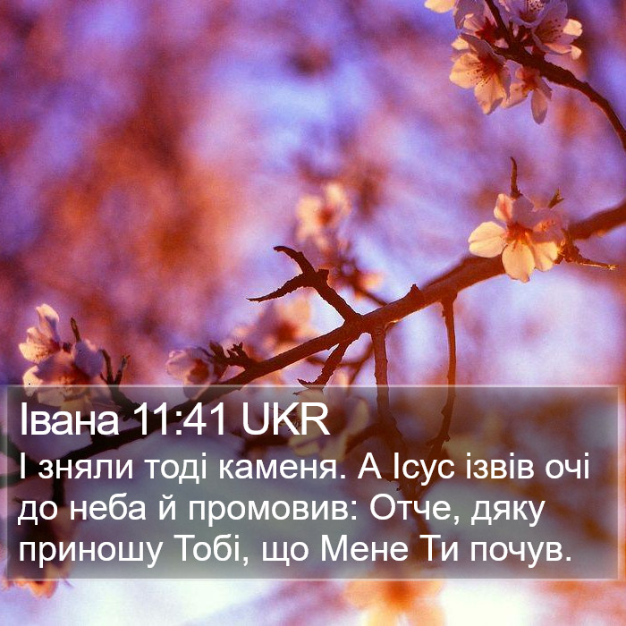 Івана 11:41 UKR Bible Study