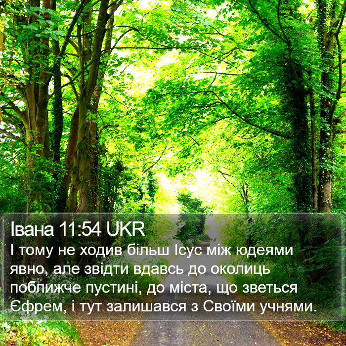 Івана 11:54 UKR Bible Study