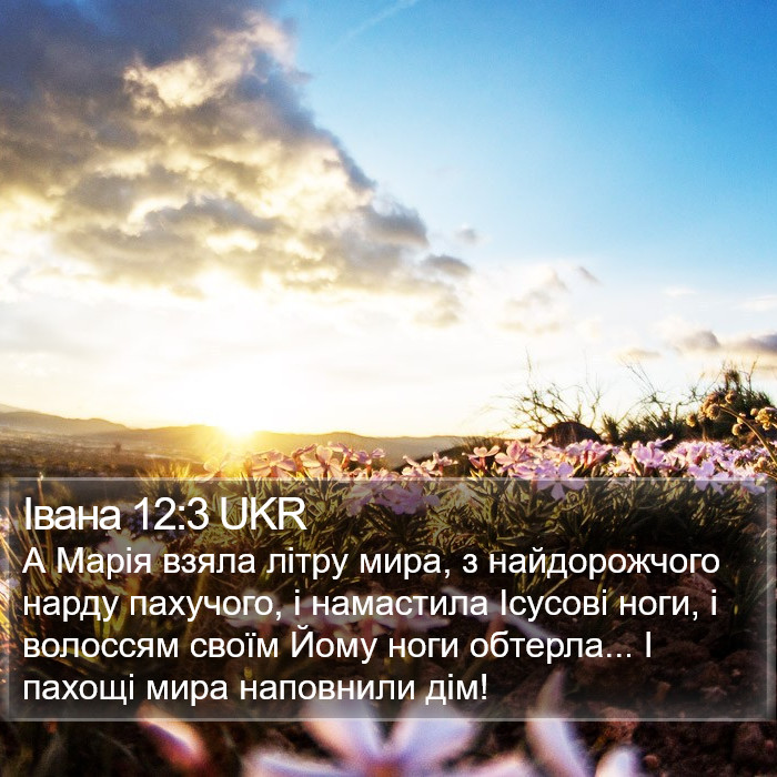 Івана 12:3 UKR Bible Study