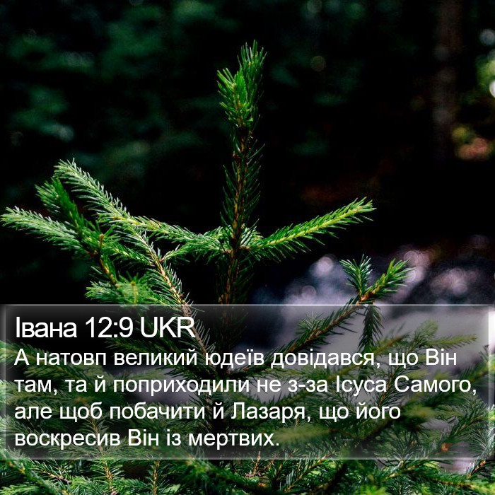 Івана 12:9 UKR Bible Study