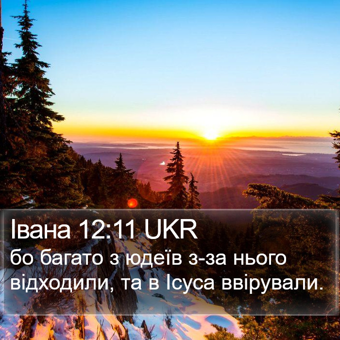 Івана 12:11 UKR Bible Study