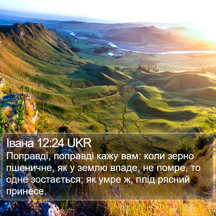 Івана 12:24 UKR Bible Study