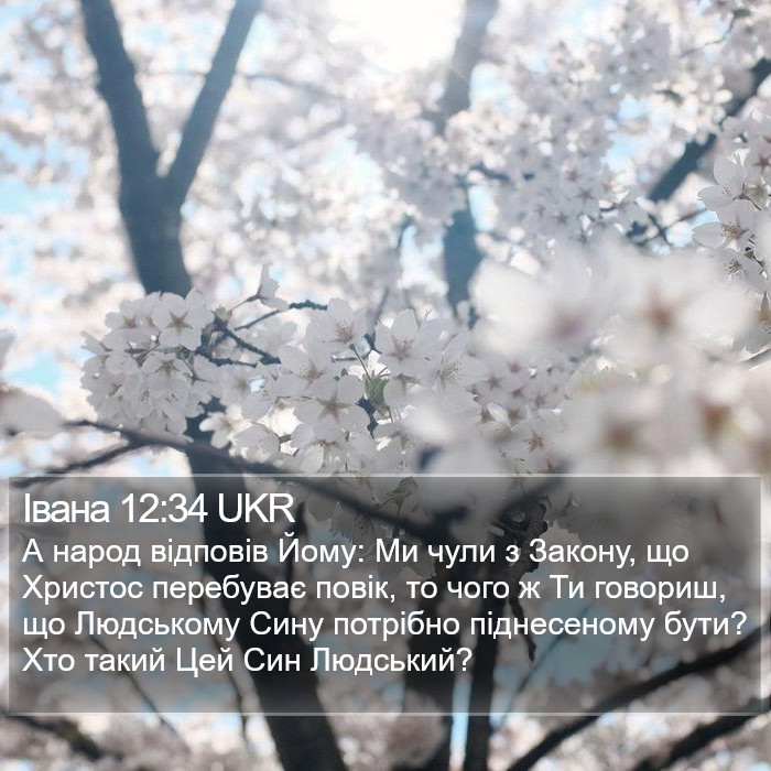 Івана 12:34 UKR Bible Study