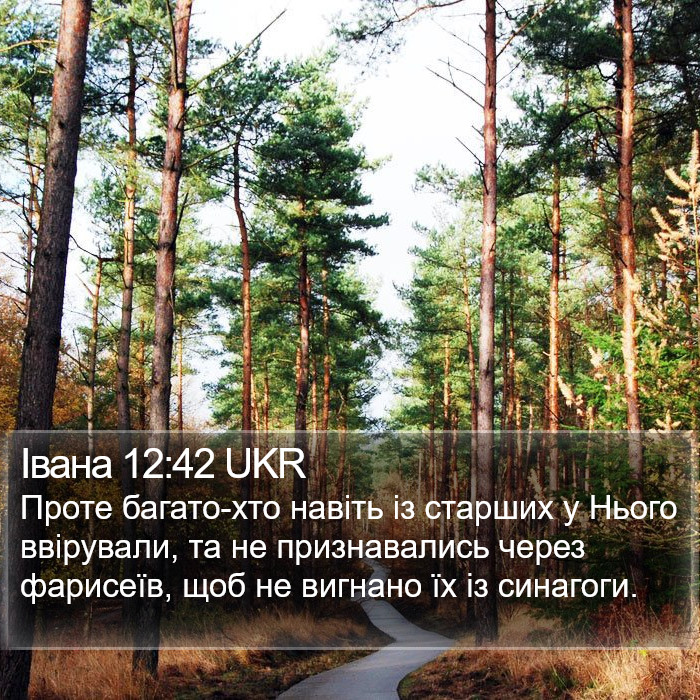 Івана 12:42 UKR Bible Study