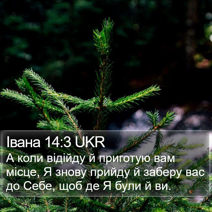Івана 14:3 UKR Bible Study
