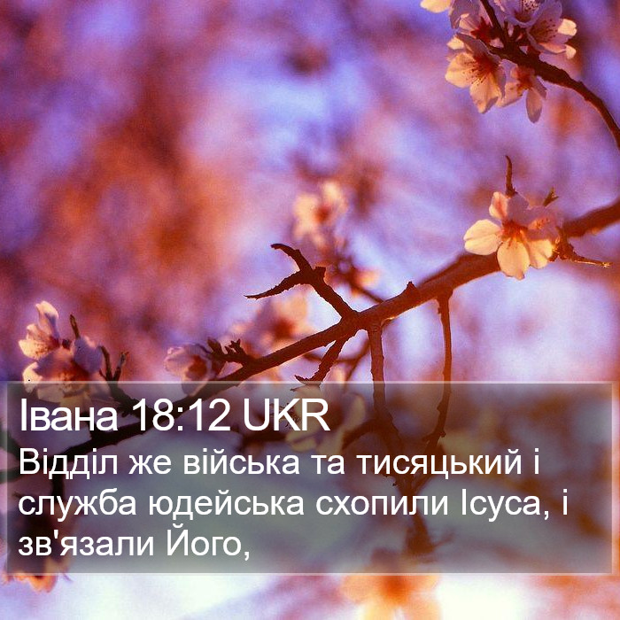 Івана 18:12 UKR Bible Study