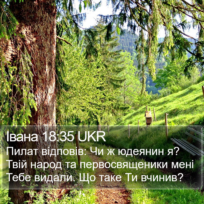 Івана 18:35 UKR Bible Study