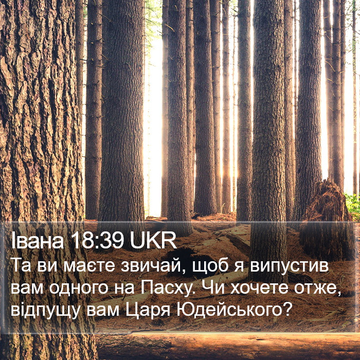 Івана 18:39 UKR Bible Study