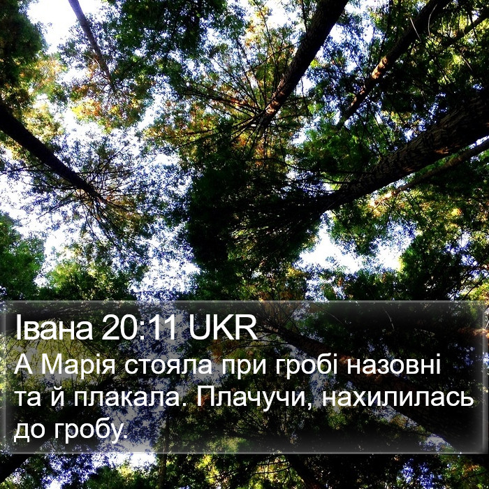 Івана 20:11 UKR Bible Study