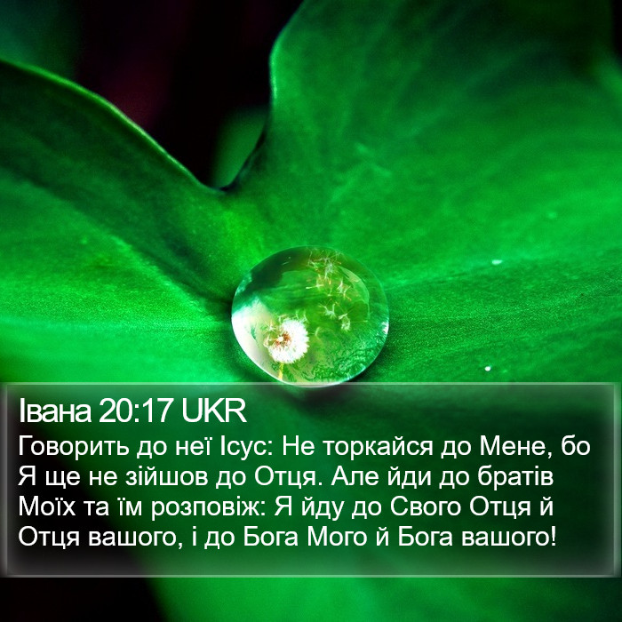 Івана 20:17 UKR Bible Study