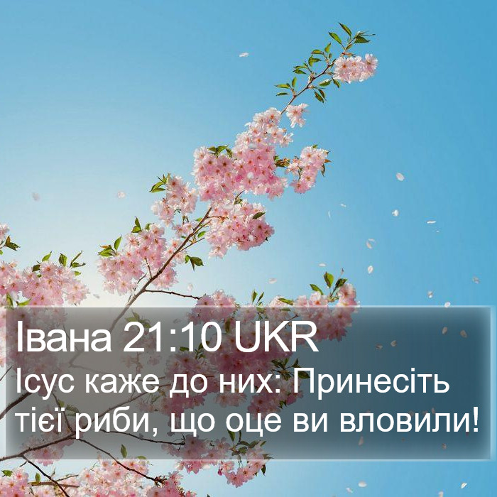 Івана 21:10 UKR Bible Study