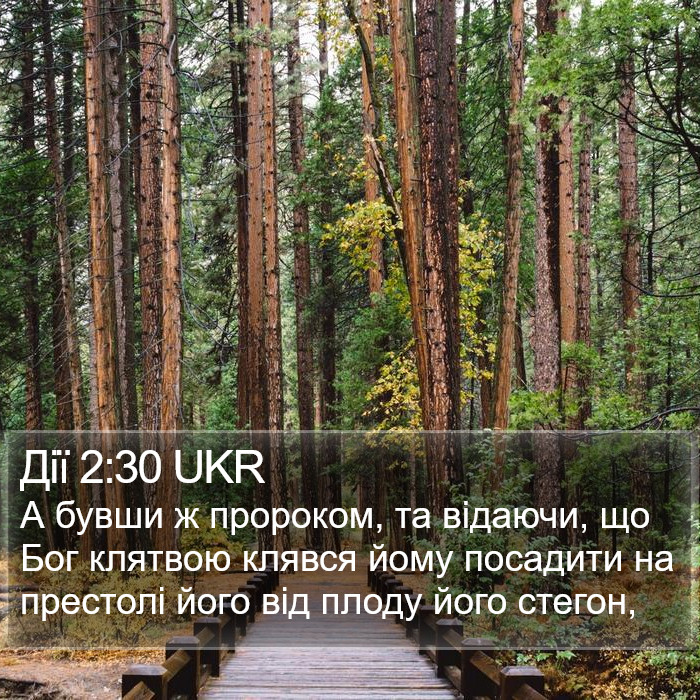 Дії 2:30 UKR Bible Study