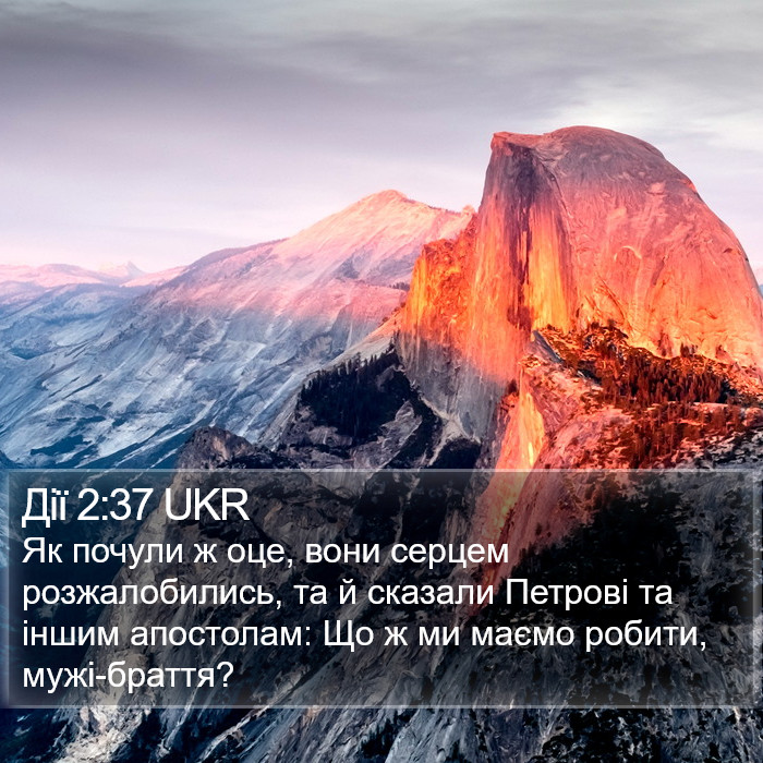 Дії 2:37 UKR Bible Study