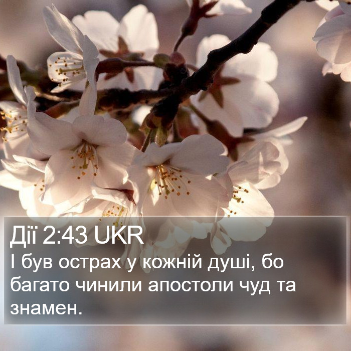 Дії 2:43 UKR Bible Study