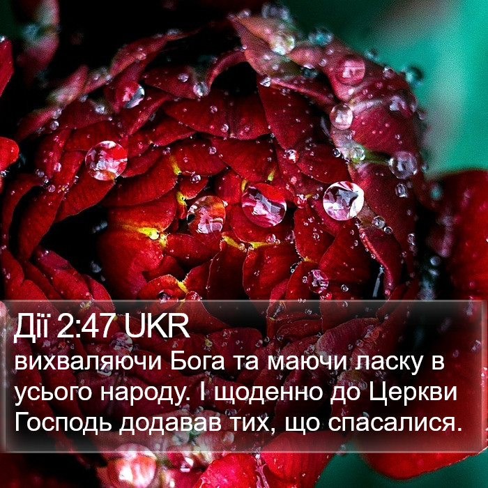 Дії 2:47 UKR Bible Study