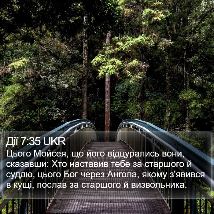 Дії 7:35 UKR Bible Study