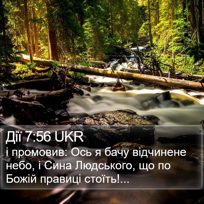 Дії 7:56 UKR Bible Study
