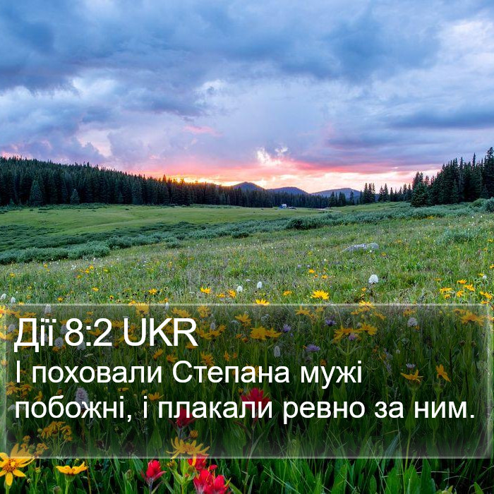 Дії 8:2 UKR Bible Study