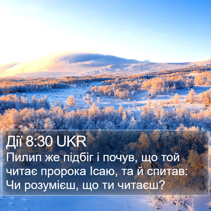 Дії 8:30 UKR Bible Study