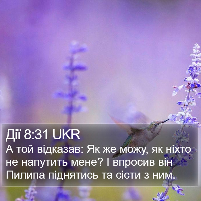 Дії 8:31 UKR Bible Study