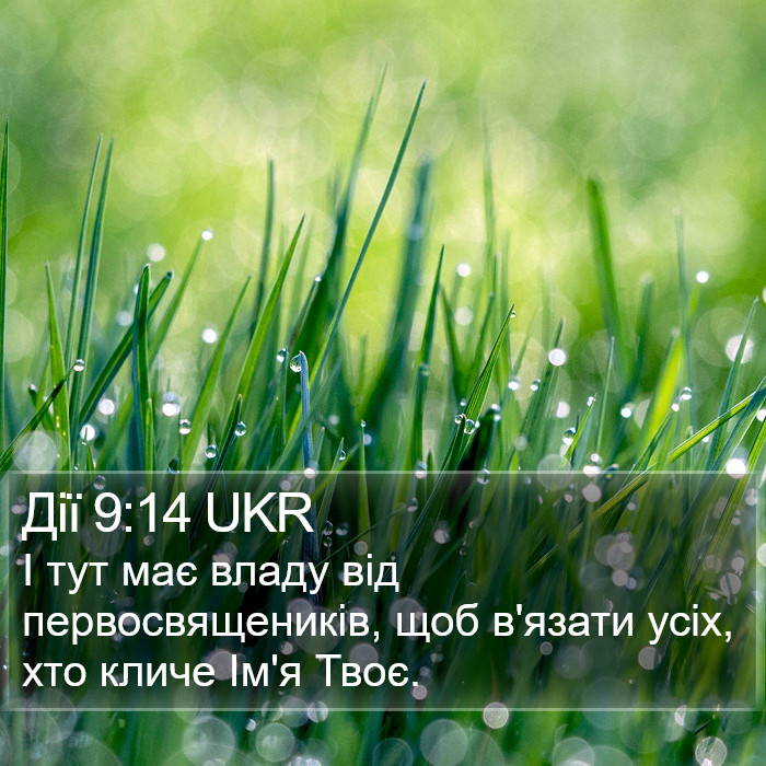 Дії 9:14 UKR Bible Study
