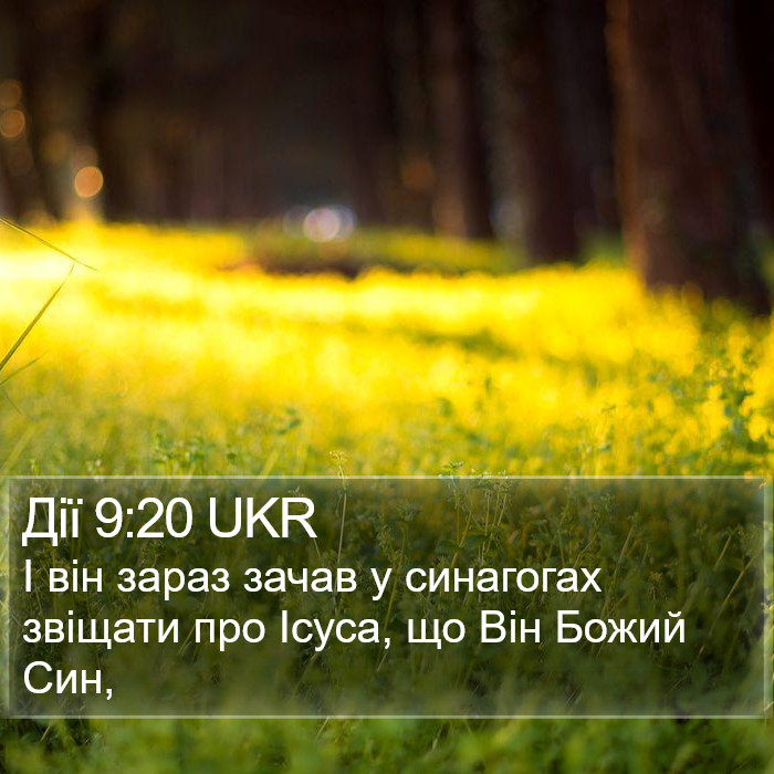 Дії 9:20 UKR Bible Study
