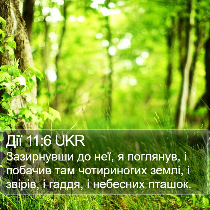 Дії 11:6 UKR Bible Study