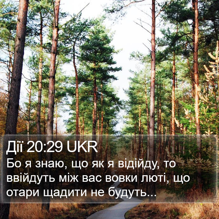 Дії 20:29 UKR Bible Study
