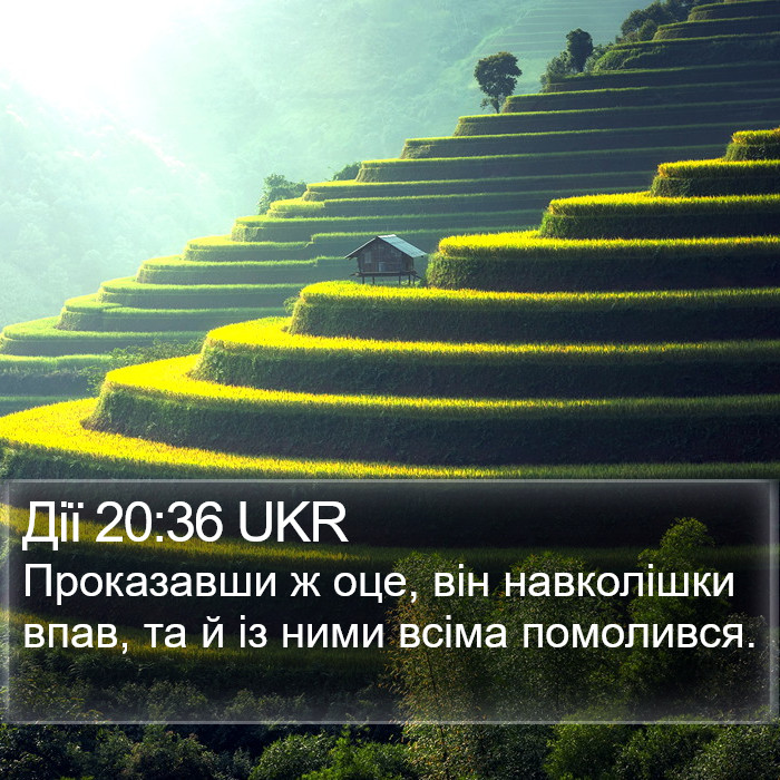 Дії 20:36 UKR Bible Study
